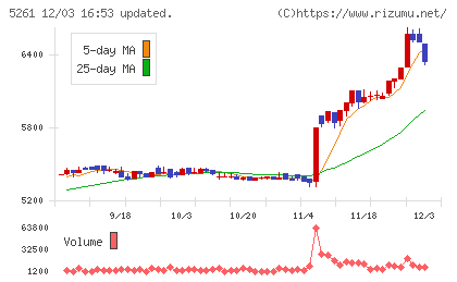 リソルホールディングスチャート
