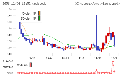 ベクターホールディングスチャート