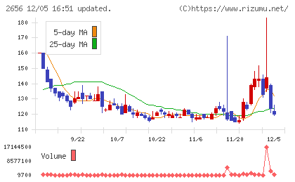 ベクターホールディングスチャート