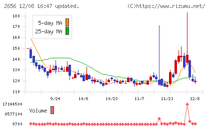 ベクターホールディングスチャート