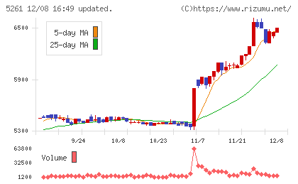 リソルホールディングスチャート