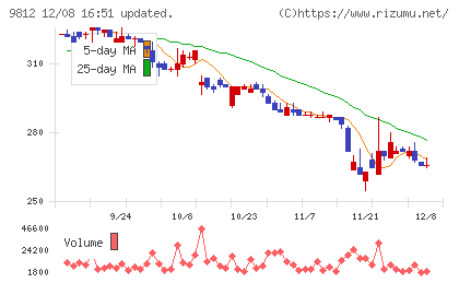 テーオーホールディングスチャート