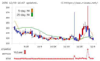 ベクターホールディングスチャート