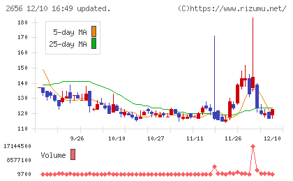 ベクターホールディングスチャート