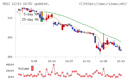 テーオーホールディングスチャート