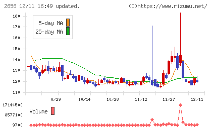ベクターホールディングスチャート
