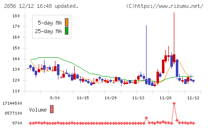 ベクターホールディングスチャート