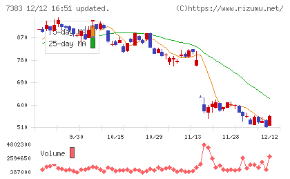 ネットプロテクションズホールディングスチャート