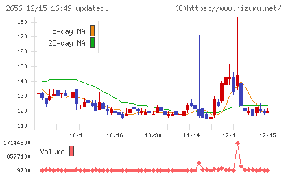 ベクターホールディングスチャート