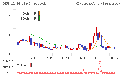 ベクターホールディングスチャート