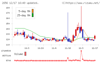 ベクターホールディングスチャート