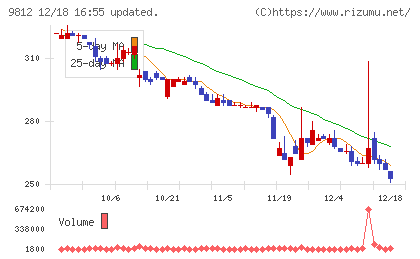 テーオーホールディングスチャート