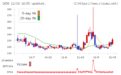 ベクターホールディングスチャート