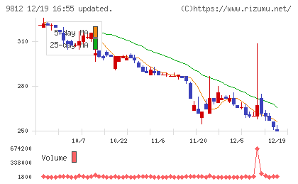 テーオーホールディングスチャート