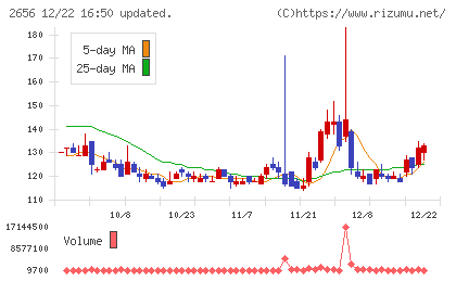 ベクターホールディングスチャート