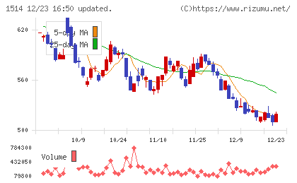 住石ホールディングスチャート