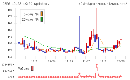 ベクターホールディングスチャート