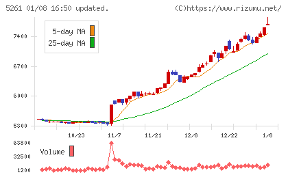 リソルホールディングスチャート