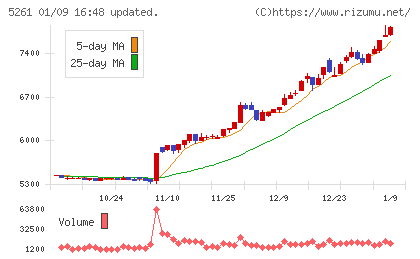 リソルホールディングスチャート