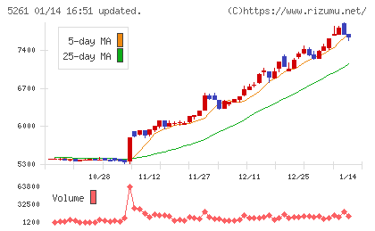 リソルホールディングスチャート