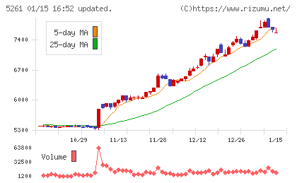 リソルホールディングスチャート