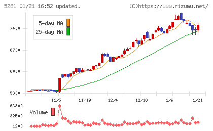 リソルホールディングスチャート