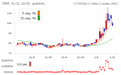 ワイズホールディングスチャート