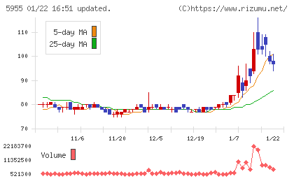 ワイズホールディングスチャート