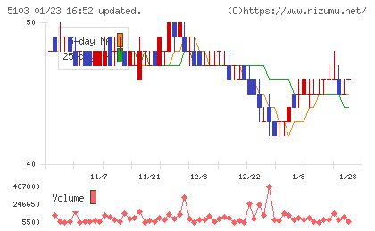昭和ホールディングスチャート