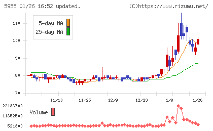 ワイズホールディングスチャート