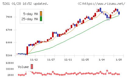リソルホールディングスチャート