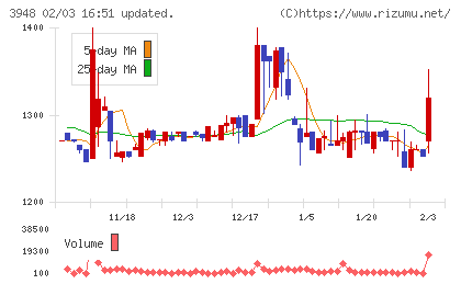 光ビジネスフォームチャート