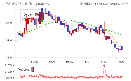 電算システムホールディングスチャート