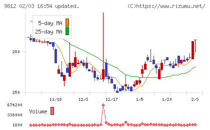 テーオーホールディングスチャート