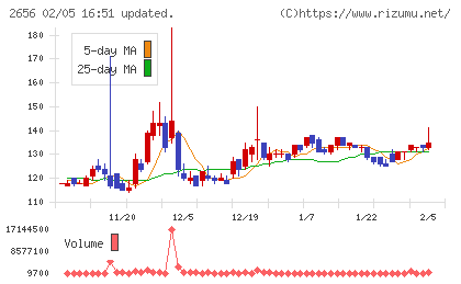 ベクターホールディングスチャート