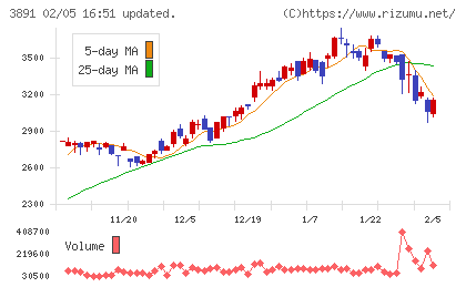ニッポン高度紙工業チャート