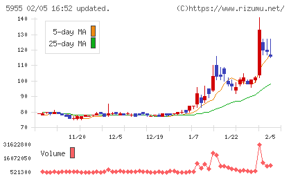 ワイズホールディングスチャート