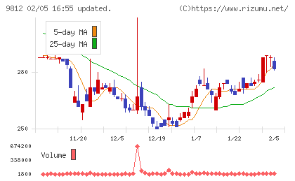 テーオーホールディングスチャート