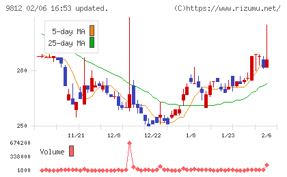 テーオーホールディングスチャート
