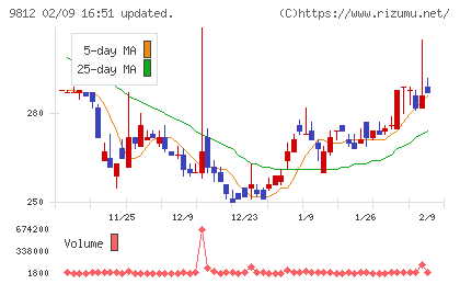 テーオーホールディングスチャート