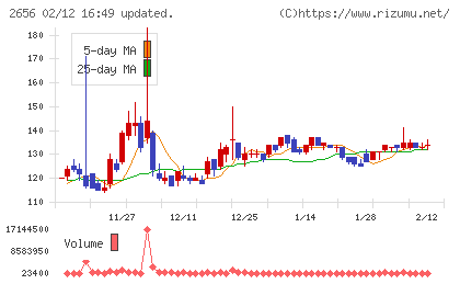 ベクターホールディングスチャート
