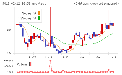 テーオーホールディングスチャート