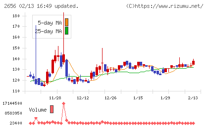 ベクターホールディングスチャート