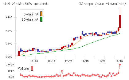 日本ピグメントホールディングスチャート