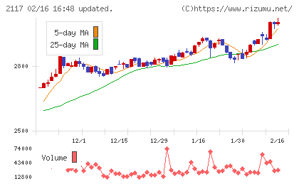 日新製糖ホールディングスチャート