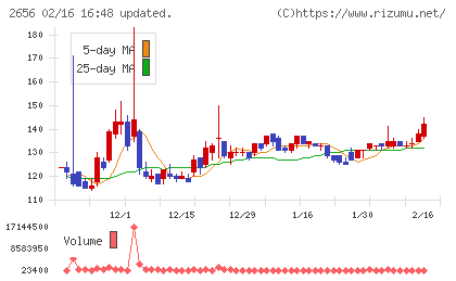 ベクターホールディングスチャート