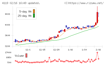 日本ピグメントホールディングスチャート