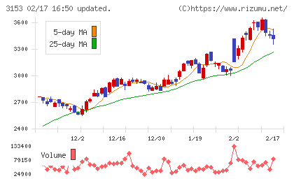 八洲電機チャート
