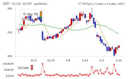 ポールトゥウィンホールディングスチャート