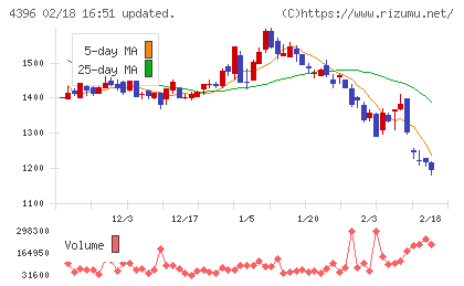 システムサポートホールディングスチャート